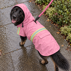 A black and tan dog wearing a pink raincoat with reflective yellow-green stripes, walking on a wet paved path outdoors on a pink leash.