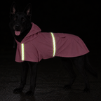 A black dog wearing a reflective pink raincoat with bright yellow-green reflective stripes, photographed against a dark night background.