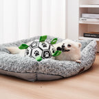 Dog playing with a ball on a soft pet bed in a home setting