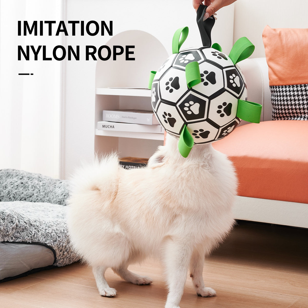 Dog playing with a black and white ball toy with green handles in a living room.
