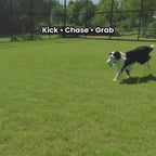 PawOrbit Grip Ball
