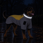 Infographic highlighting the features of the StormShield™ Winter Dog Jacket on a Rottweiler, including the built-in leash D-ring, adjustable drawcord collar, reflective safety strip, hook-and-loop patch, and secure rear-leg straps.